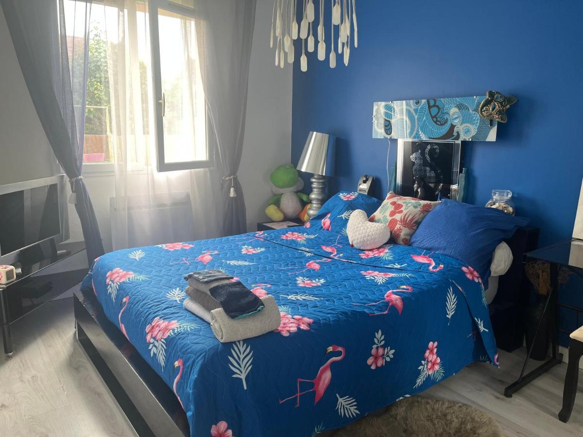 Maison Proche Et Centre Ville, Jardin 580m2 * Pau